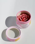 3D Rose Blush-Highlighter