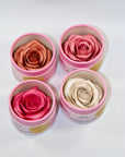 3D Rose Blush-Highlighter